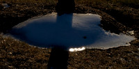 Remnant Snow