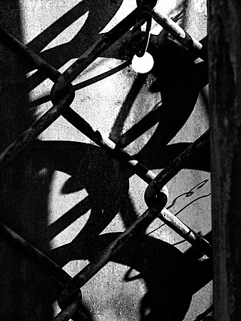 Calligraphy
