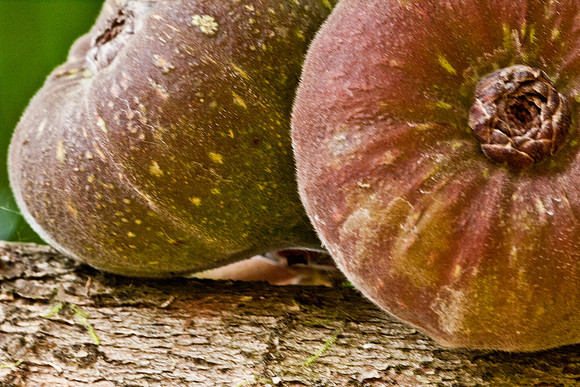 Figs