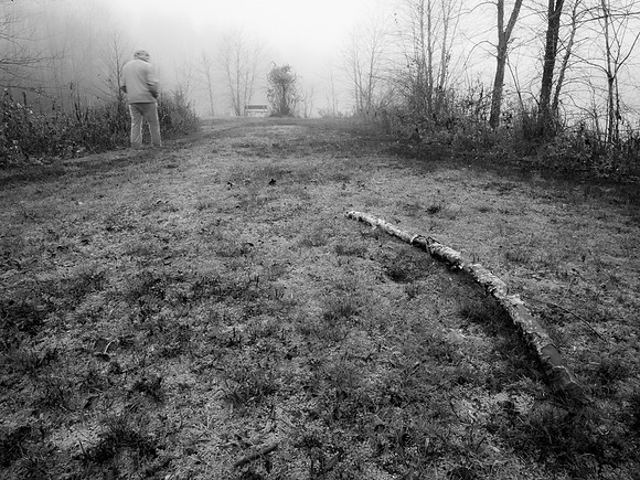 Into the Fog