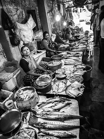 Kalina Fish Market BW2