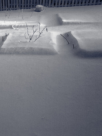 Snow Garden