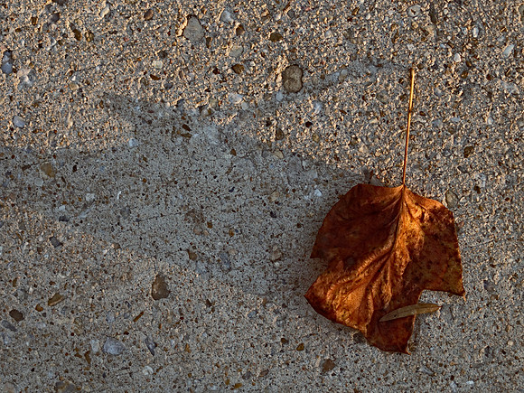 Sidewalk