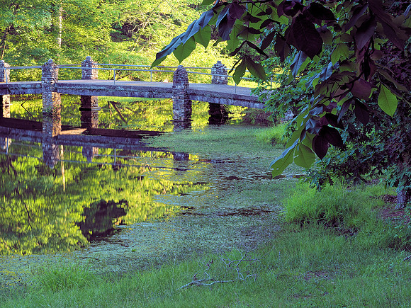At Rick's Pond