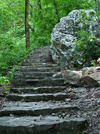 Gulpha Gorge 58