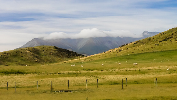 South Island Ag 72