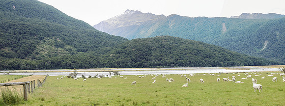 Haast Pass 50-53