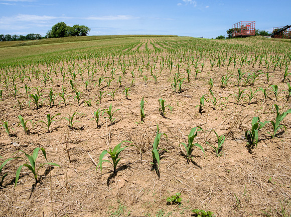 Garver Farm 46