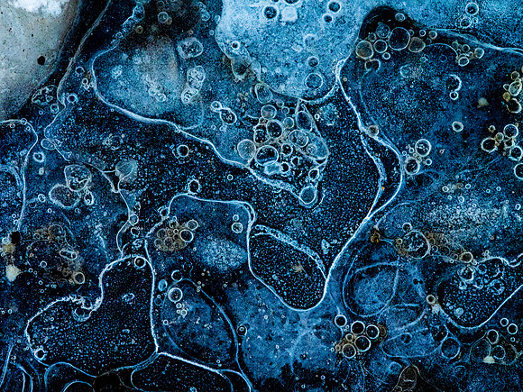 Winterforms 2014