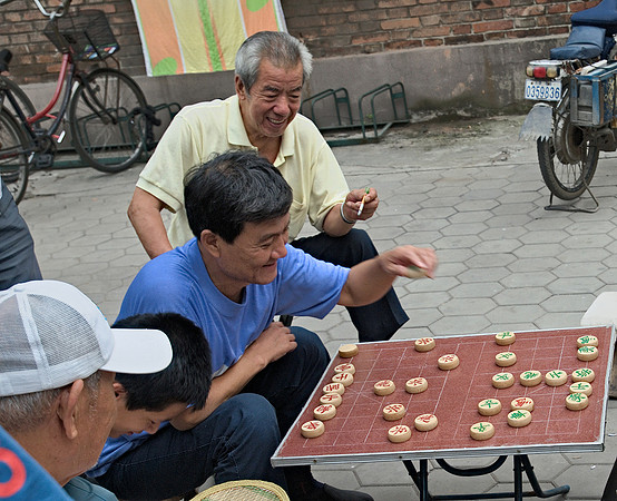 The Xiangqi Player