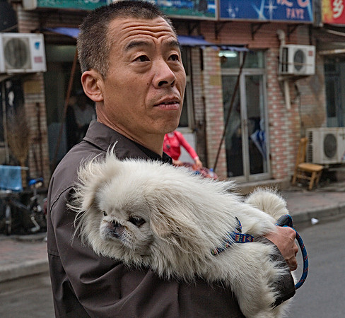 A Man and his Dog