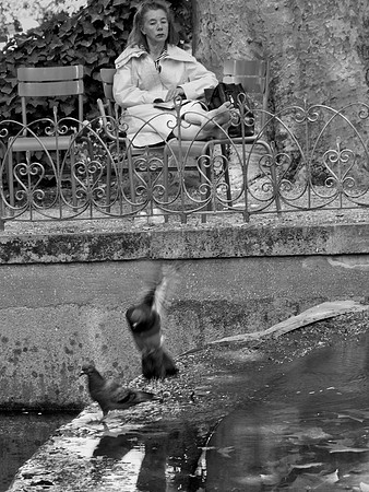 Afternoon in the Park