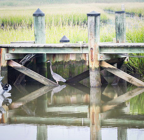 Heron Undercover 81-88