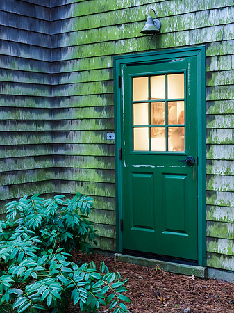 Back Door 11