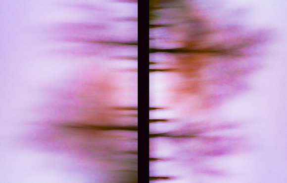 Striatica