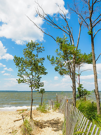 Terrapin Nature Park 364