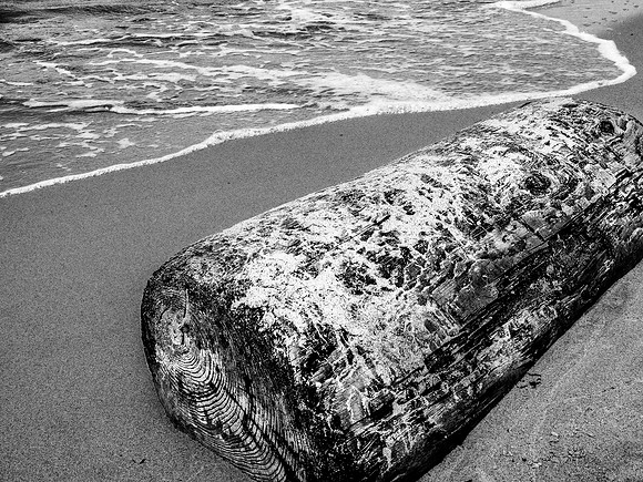 Terrapin Nature Park 373