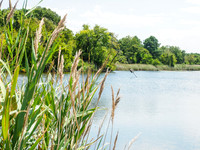 Terrapin Nature Park 440