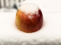 A Healthy Snow