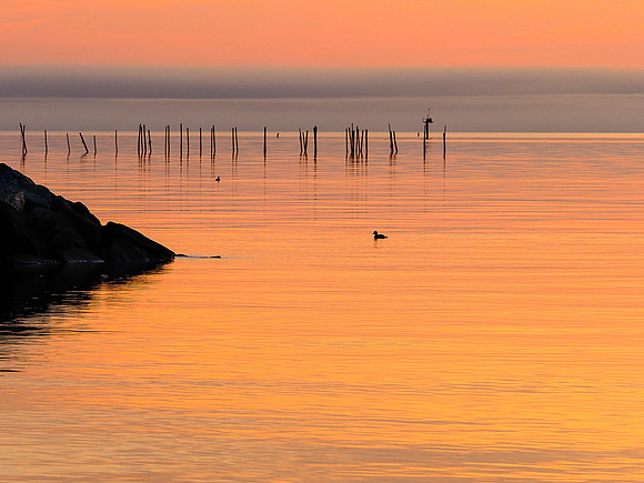 Beverly Triton Sunrise 620