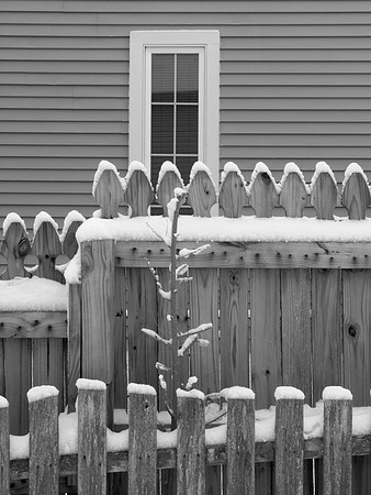 Snow Fences