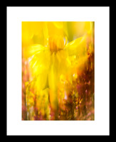 Bouquet 160