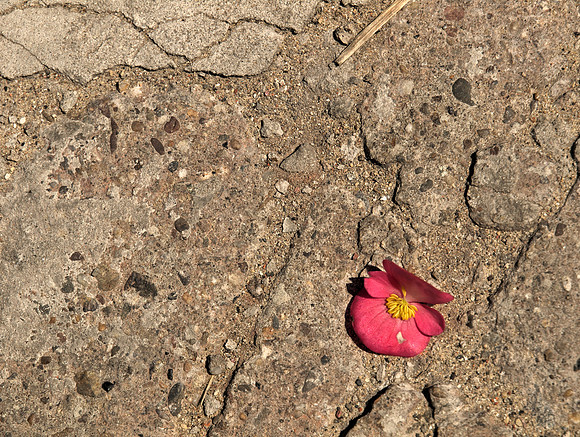 Discarded
