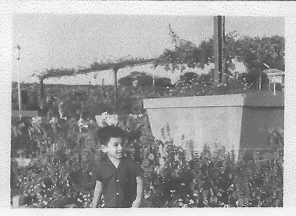 Bombay Child 2