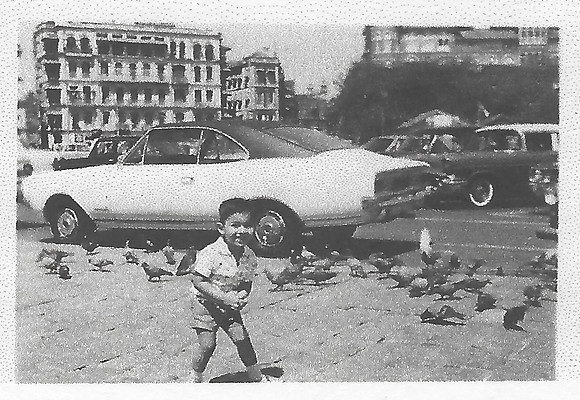 Playing with Pigeons