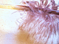 Duster
