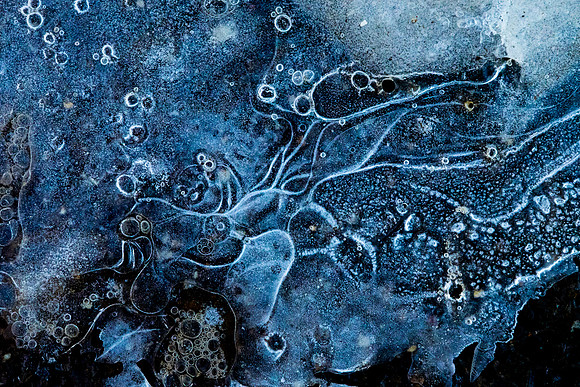 Winterforms 2014
