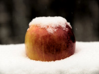 A Healthy Snow
