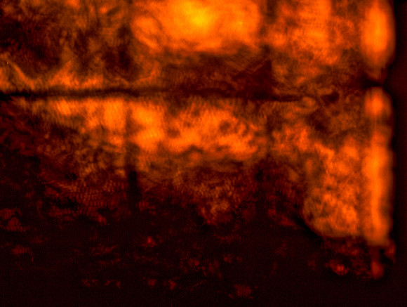 Wall #31