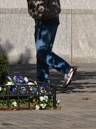 Urban Camouflage