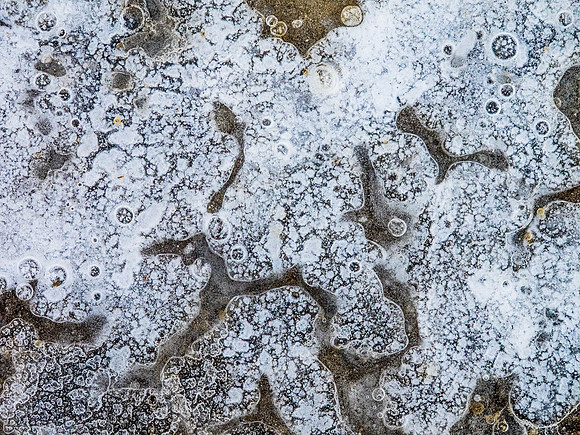 Winterforms 2014