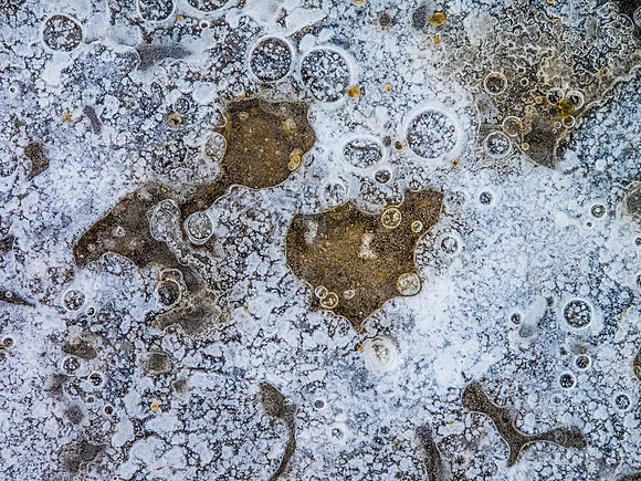 Winterforms 2014