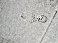 Snowprint