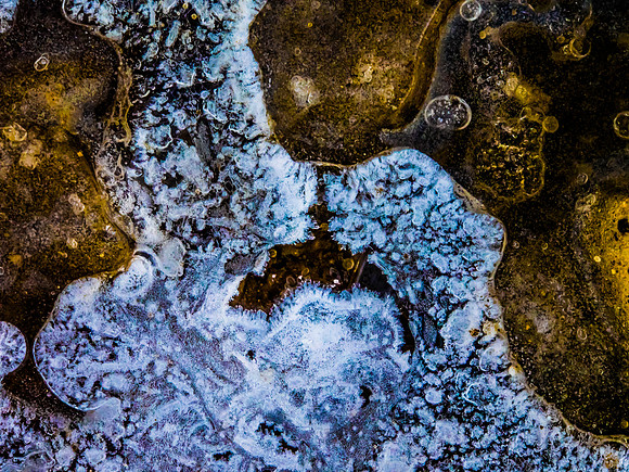 Winterforms 2014