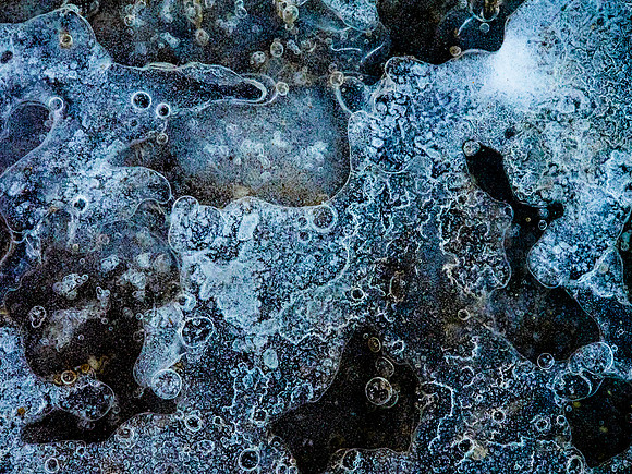 Winterforms 2014