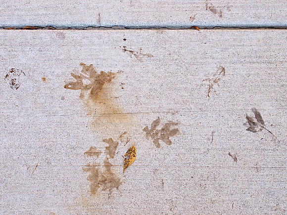 After the Fall