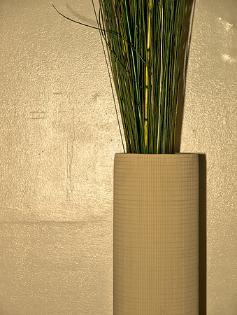 Beige and Green 2