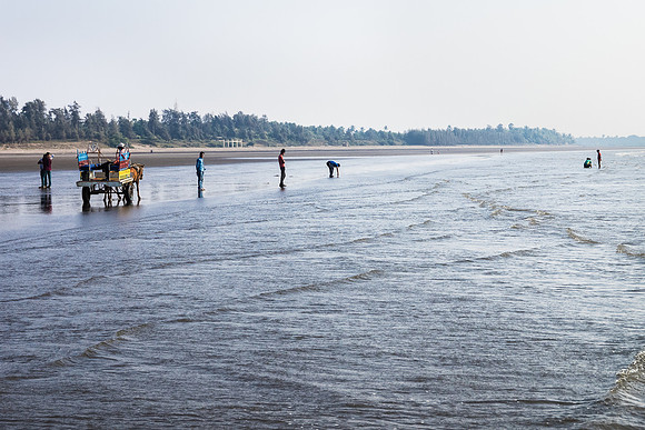 Palghar Beach