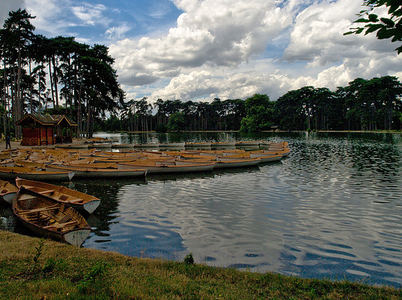 Rowboats