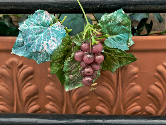 Window Box