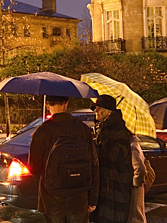 Rainy Night