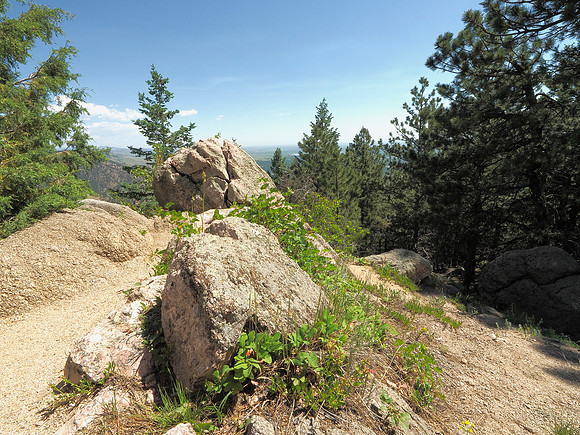 On the Mount 801