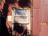 Voyeur