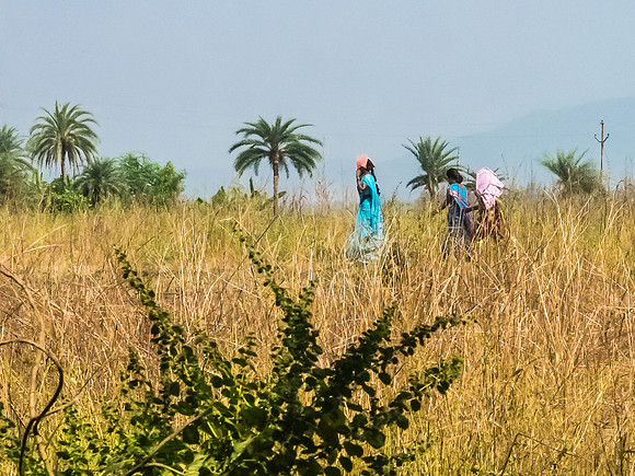 The Road to Palghar
