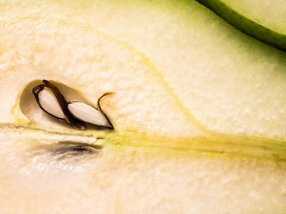 Pear