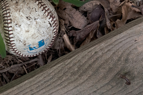 The Discarded
